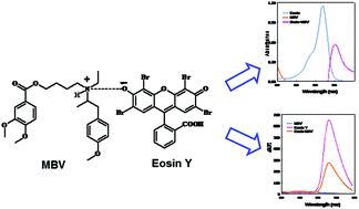 Graphical abstract: An application of eosin Y for the selective spectrophotometric and spectrofluorimetric determination of mebeverine hydrochloride