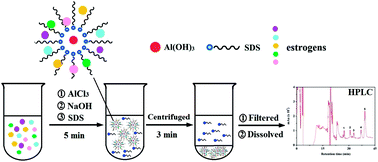 Graphical abstract: Co-precipitation assisted cloud point extraction coupled with high performance liquid chromatography for the determination of estrogens in water and cosmetic samples