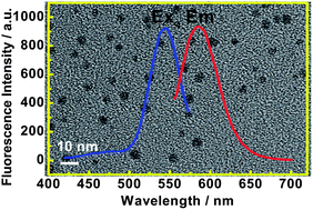 Graphical abstract: Polyinosinic acid-stabilized fluorescent silver nanoclusters for sensitive detection of biological thiols