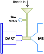 Graphical abstract: Applications of a confined DART (direct analysis in real time) ion source for online in vivo analysis of human breath