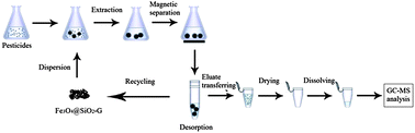 Graphical abstract: A graphene-coated magnetic nanocomposite for the enrichment of fourteen pesticides in tomato and rape samples prior to their determination by gas chromatography-mass spectrometry