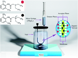 Graphical abstract: Hollow fiber liquid based microextraction combined with high-performance liquid-chromatography for the analysis of lidocaine in biological and pharmaceutical samples