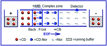 Graphical abstract: Moving interaction boundary electrophoresis and its selective focusing of target guest molecule norfloxacin in urine by a cyclodextrin host