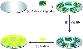 Graphical abstract: A nitrite and hydrogen peroxide sensor based on Hb adsorbed on Au nanorods and graphene oxide coated by polydopamine