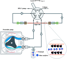 Graphical abstract: Application of sol–gel based molecularly imprinted xerogel for on-line capillary microextraction of fentanyl from urine and plasma samples