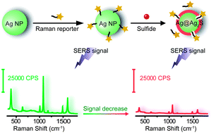 Graphical abstract: SERS sensing of sulfide based on the sulfidation of silver nanoparticles