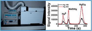 Graphical abstract: Species-specific isotope dilution-GC-ICP-MS for accurate and precise measurement of methylmercury in water, sediments and biological tissues