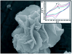 Graphical abstract: Application of flower-like SnS2 nanoparticles for direct electrochemistry of hemoglobin and its electrocatalysis