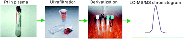 Graphical abstract: Quantitative determination of platinum derived from cisplatin in human plasma ultrafiltrate using derivatization with diethyldithiocarbamate and liquid chromatography coupled with electrospray ionization tandem mass spectrometry