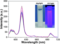 Graphical abstract: Luminescence functionalization of porous silica nanospheres by YVO4:Eu3+ for the efficient recognition of λ-cyhalothrin in aqueous media