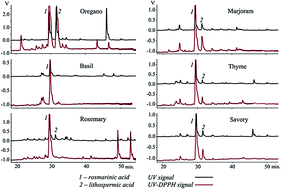 Graphical abstract: Fast screening of the main phenolic acids with antioxidant properties in common spices using on-line HPLC/UV/DPPH radical scavenging assay