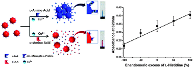 Graphical abstract: Gold nanoparticle-based colorimetric chiral discrimination of histidine: application to determining the enantiomeric excess of histidine