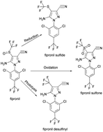 Graphical abstract: Simultaneous determination of fipronil and its major metabolites in corn and soil by ultra-performance liquid chromatography-tandem mass spectrometry