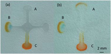 Graphical abstract: Preparation of paper micro-fluidic devices used in bio-assay based on drop-on-demand wax droplet generation