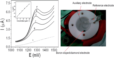 Graphical abstract: The boron-doped diamond electrode voltammetric method for ultra-trace determination of the fungicide pyraclostrobin and evaluation of its photodegradation and thermal degradation