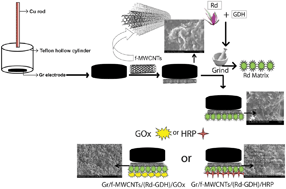 Graphical abstract: Rhoeo discolor leaf extract as a novel immobilizing matrix for the fabrication of an electrochemical glucose and hydrogen peroxide biosensor