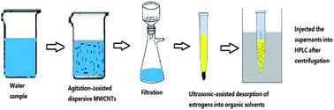 Graphical abstract: Extraction of natural estrogens in environmental waters by dispersive multiwalled carbon nanotube-based agitation-assisted adsorption and ultrasound-assisted desorption