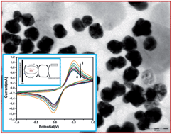 Graphical abstract: A chitosan-based polyaniline–Au nanocomposite biosensor for determination of cholesterol