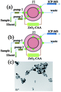Graphical abstract: Calconcarboxylic acid dynamically modified nanometer-sized zirconia for on-line flow injection-inductively coupled plasma optical emission spectrometry determination of trace heavy metals in environmental water samples