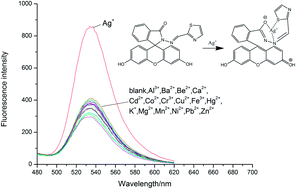 Graphical abstract: A turn-on fluorescein spirolactam derivative as a high selective fluorescence probe for detection of silver ion(i) in water