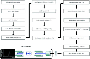 Graphical abstract: Simultaneous quantitative determination of major plant hormones in pear flowers and fruit by UPLC/ESI-MS/MS