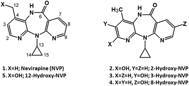 Graphical abstract: Development and validation of an HPLC-UV method for quantifying nevirapine and its main phase I metabolites in human blood