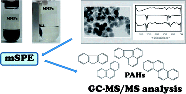 Graphical abstract: Determination of PAHs in soil leachates by magnetic solid-phase extraction using nanoparticles and gas chromatography-tandem mass spectrometry