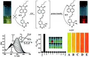 Graphical abstract: A naphthalimide-based azo colorimetric and ratiometric probe: synthesis and its application in rapid detection of cyanide anions