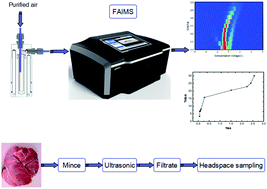 Graphical abstract: Rapid microchip-based FAIMS determination of trimethylamine, an indicator of pork deterioration