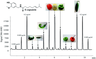 Graphical abstract: Evaluation of capsaicin in chili peppers and hot sauces by MISER HPLC-ESIMS