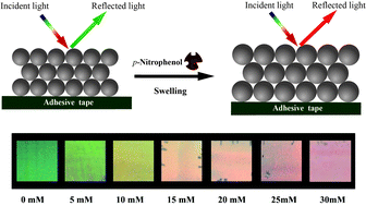 Graphical abstract: A molecularly imprinted colloidal array as a colorimetric sensor for label-free detection of p-nitrophenol