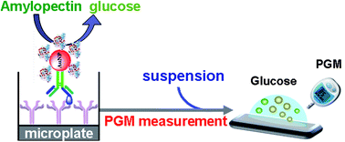 Graphical abstract: A portable and quantitative enzyme immunoassay of neuron-specific enolase with a glucometer readout