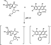 Graphical abstract: Application of the Stern–Volmer equation for studying the spectrofluorimetric quenching reaction of eosin with clindamycin hydrochloride in its pure form and pharmaceutical preparations