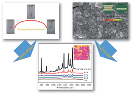 Graphical abstract: Ultrasensitive and reproducible surface-enhanced Raman scattering detection via an optimized adsorption process and filter-based substrate