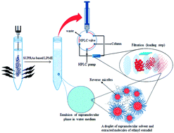 Graphical abstract: Nanostructured solvent based microextraction followed by a novel strategy for online phase separation coupled with HPLC for determination of ethinyl estradiol