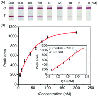 Graphical abstract: An autonomous T-rich DNA machine based lateral flow biosensor for amplified visual detection of mercury ions