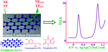 Graphical abstract: Graphene layer modified glassy carbon electrode for the determination of norepinephrine and theophylline in pharmaceutical formulations