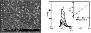 Graphical abstract: A novel electrochemical sensor based on a silver nanoparticle modified carbon ionic liquid electrode for selective and sensitive determination of levetiracetam in pharmaceutical tablets and blood plasma samples