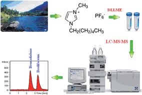Graphical abstract: Analysis of trace bromadiolone and brodifacoum in environmental water samples by ionic liquid ultrasound-assisted dispersive liquid–liquid microextraction and LC-MS/MS
