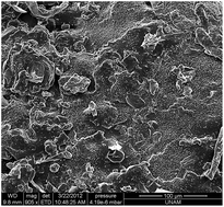 Graphical abstract: Microwave-assisted rapid synthesis of poly(glycerol-sebacate) elastomers