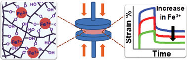 Graphical abstract: Viscoelastic hydrogels from poly(vinyl alcohol)–Fe(iii) complex