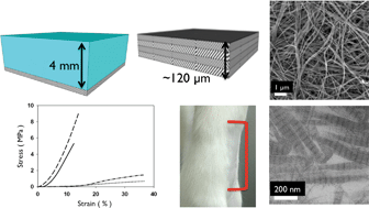 Graphical abstract: Collagen-based substrates with tunable strength for soft tissue engineering