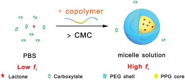 Graphical abstract: Effects of amphiphilic block copolymers on the equilibrium lactone fractions of camptothecin analogues at different pHs