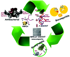 Graphical abstract: Bio-based hyperbranched poly(ester amide)–MWCNT nanocomposites: multimodalities at the biointerface