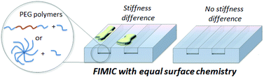 Graphical abstract: Blending PEG-based polymers and their use in surface micro-patterning by the FIMIC method to obtain topographically smooth patterns of elasticity