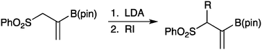 Graphical abstract: Generation and alkylation of 2-boryl allylic sulfone anions