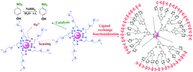 Graphical abstract: How a simple “clicked” PEGylated 1,2,3-triazole ligand stabilizes gold nanoparticles for multiple usage