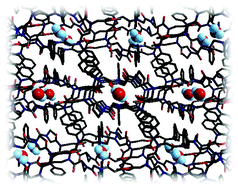 Graphical abstract: Peptoid nanotubes: an oligomer macrocycle that reversibly sequesters water via single-crystal-to-single-crystal transformations