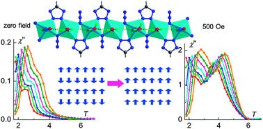 Graphical abstract: Field-modified multiple slow relaxations in a metamagnet composed of cobalt(ii) chains with mixed azide and tetrazolate bridges