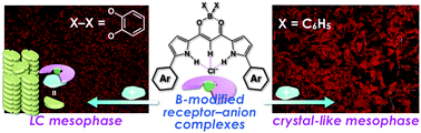 Graphical abstract: Ion-based materials of boron-modified dipyrrolyldiketones as anion receptors